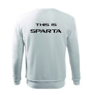 SPARTA KATOWICE BLUZA SPARTANIN MAŁE LOGO SENIOR