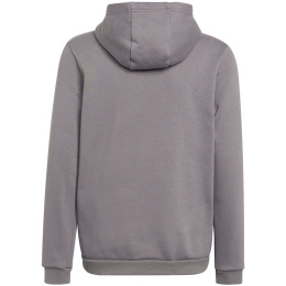 Bluza dla seniorów adidas Entrada 22 Hoody szara HB0578