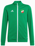 WKS PRZEBÓJ WOLBROM Bluza dla dzieci adidas Entrada 22 Training