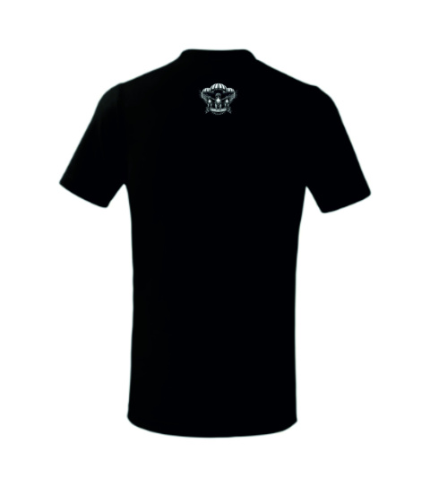 SOKOLE OKO KOSZULKA DZIECIĘCA WROTKA & GWIZDEK