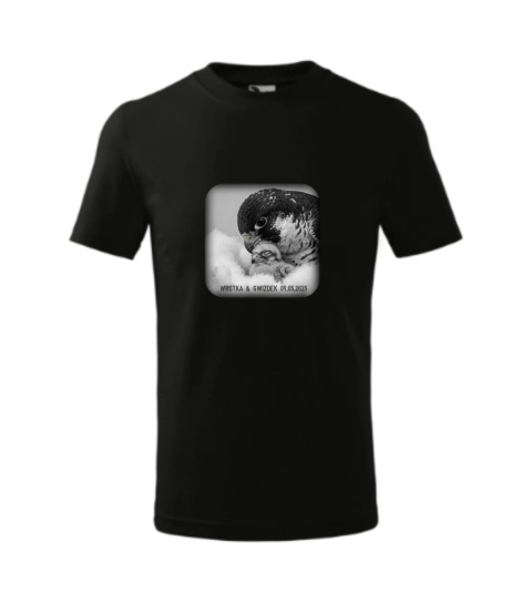 SOKOLE OKO KOSZULKA MĘSKA WROTKA & GWIZDEK