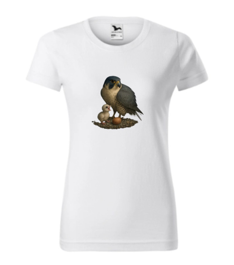 SOKOLE OKO KOSZULKA DAMSKA WROTKA & GWIZDEK 1