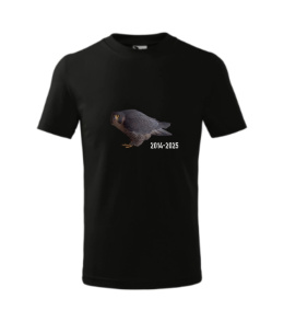 SOKOLE OKO KOSZULKA DZIECIĘCA WROTKA - ROK