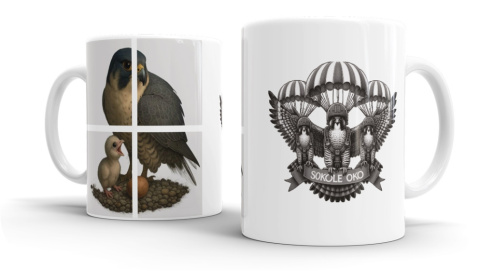 SOKOLE OKO KUBEK WROTKA & GWIZDEK 2