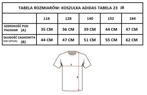 AP OLEŚNICA Koszulka Adidas Tabela 23 Biała Junior z herbem