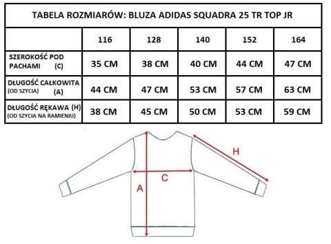 APN CZELADŹ Bluza adidas Squadra 25 Training Top Junior