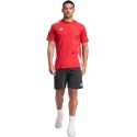 Koszulka męska adidas Tiro 24 Sweat IR9349 czerwona