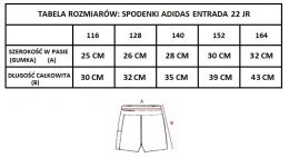 SPARTA KATOWICE SPODENKI adidas Entrada 22 Junior