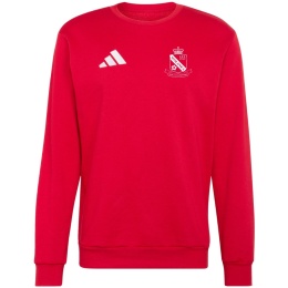 WOLANKA Bluza dla dzieci adidas Entrada 26 Sweat Top