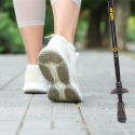 Kije Nordic Walking Enero NEWICON 110 - 135 cm