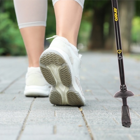 Kije Nordic Walking Enero NEWICON 110 - 135 cm