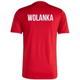 WOLANKA Koszulka męska adidas Entrada 26 Jersey czerwona