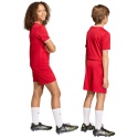 Spodenki dla dzieci adidas Entrada 26 JZ6528 czerwone