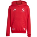 WOLANKA Bluza dla dzieci adidas Entrada 26 Hoody