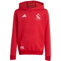 WOLANKA Bluza dla dzieci adidas Entrada 26 Hoody