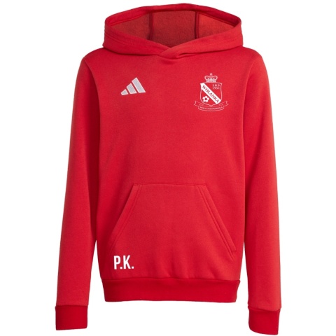 WOLANKA Bluza męska adidas Entrada 26 Hoody