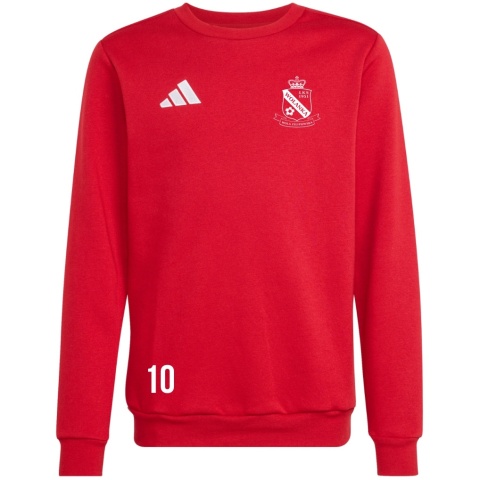 WOLANKA Bluza męska adidas Entrada 26 Sweat Top